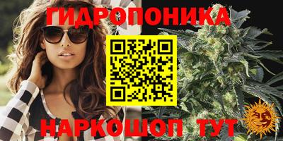 каннабис Можга
