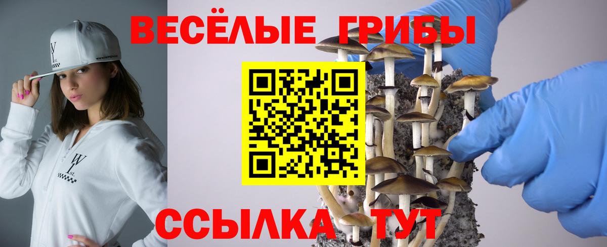 Галлюциногенные грибы прущие грибы  Вход с VPN  Великий Новгород 